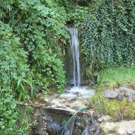 Guest house Chinarite 3*